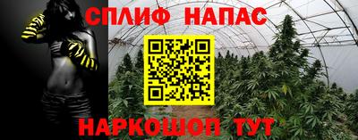 марихуана Краснознаменск
