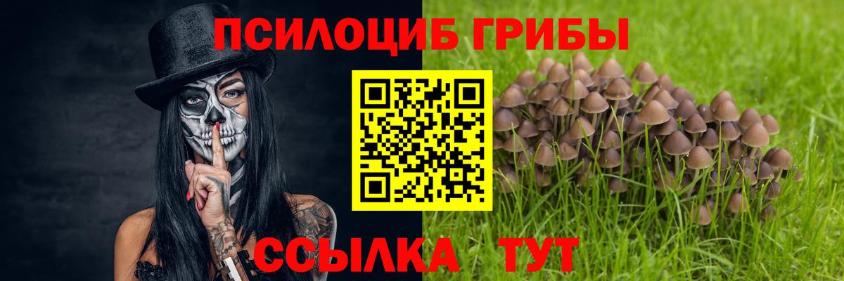 Дмитров  Псилоцибиновые грибы прущие грибы  Вход с VPN 